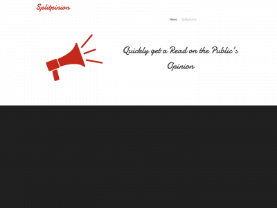 splitpinion.weebly.com snapshot
