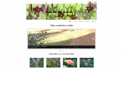 wessexflowers.com snapshot