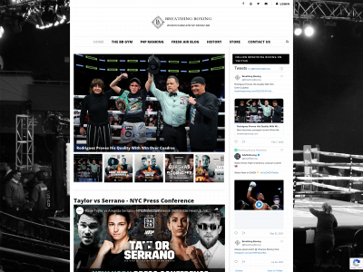breathingboxing.com snapshot