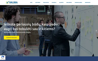 vauma.lt snapshot