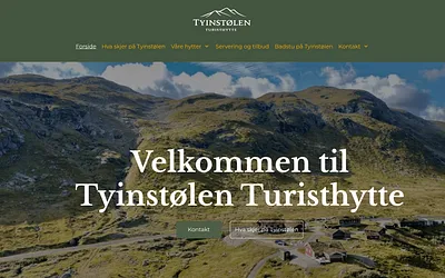 tyinstolen.com snapshot