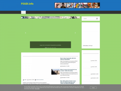 foudi.info snapshot