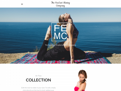 thefemco.com snapshot
