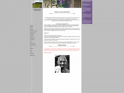 janatur.info snapshot