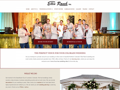 lovelandweddingsite.com snapshot