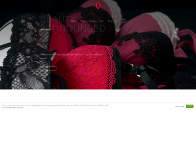 agneslingerie.com snapshot