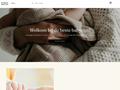 debestebabytips.nl snapshot