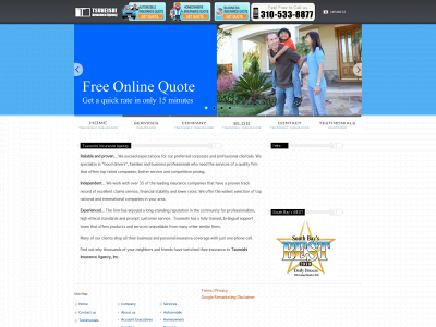 tsuneishiinsurance.com snapshot