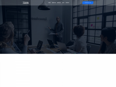tshn.com.gt snapshot