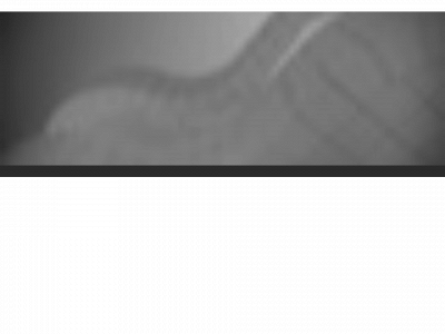 glennstava.com snapshot