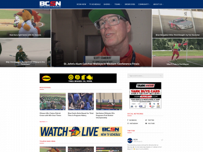 bcsnnation.com snapshot