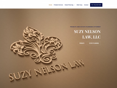 suzynelsonlaw.com snapshot