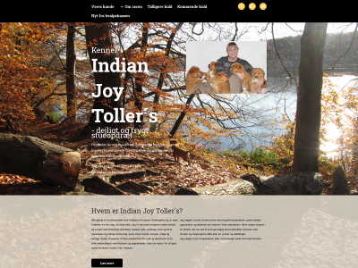 indianjoytollers.dk snapshot