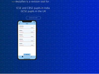 instarev.co.uk snapshot