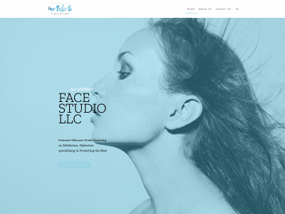 facestudiollc.org snapshot