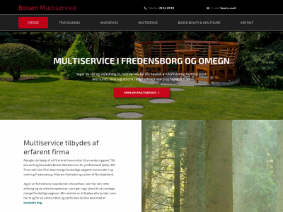 boisenmultiservice.dk snapshot