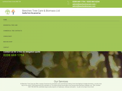 beechestreecare.com snapshot