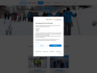 skilejrskole.dk snapshot