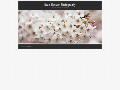 beanblossomphotography.com snapshot