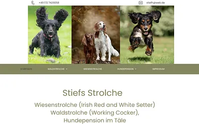 stiefs-strolche.com snapshot