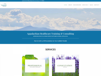 apphealthcareconsulting.com snapshot