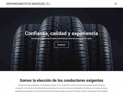servineumaticos.es snapshot