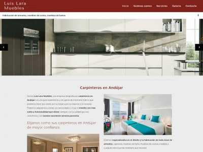 www.luislaramuebles.com snapshot