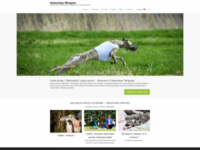 stabmeldys.net snapshot