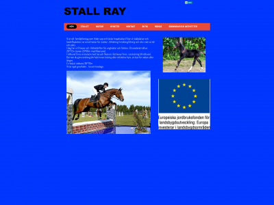 stall-ray.com snapshot