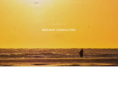 molnarconsulting.se snapshot