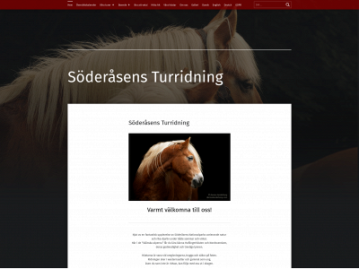 turridning.se snapshot