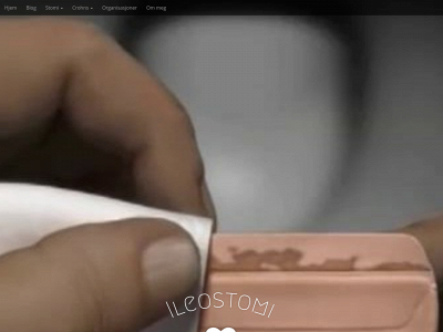 ileostomi.no snapshot