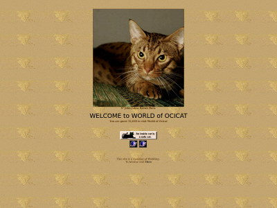 worldofocicat.com snapshot