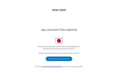 ssy-usa.com snapshot