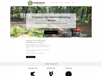 tradtjanst.com snapshot