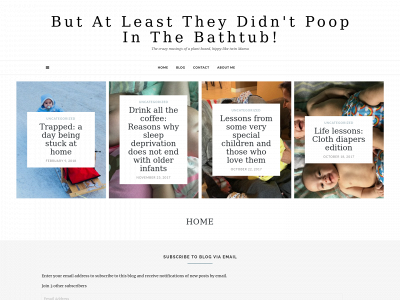 butatleasttheydidnotpoopinthebathtub.com snapshot
