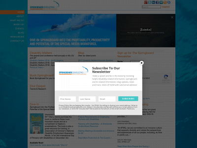 consultspringboard.com snapshot