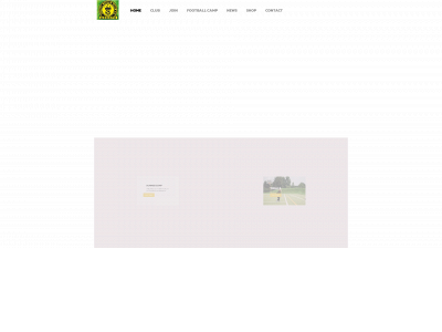 mightyroyalelitefc.com snapshot