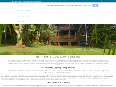 surfhawaii4u.com snapshot
