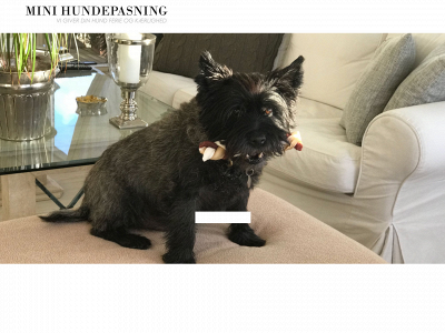 minihundepasning.dk snapshot