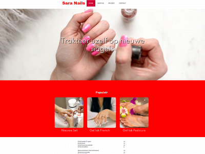 sara-nails.nl snapshot