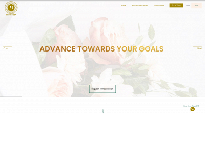coachmoza.com snapshot