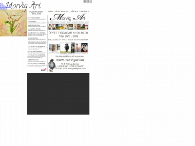 morvigart.se snapshot