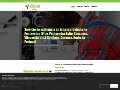 www.satolivica.com snapshot