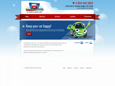 thewonderwash.com snapshot