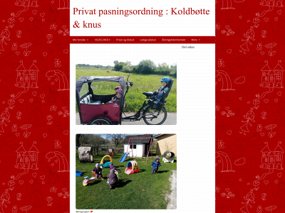 privatpasningsordning-nr-1.dk snapshot