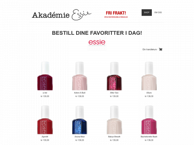 akademieessie.no snapshot
