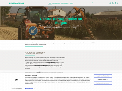 desbrocesrua.com snapshot