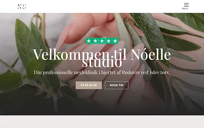 noellestudio.dk snapshot