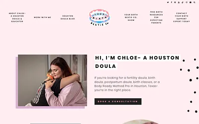 yourbirthbestie.co snapshot
